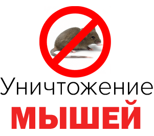 уничтожим мышь